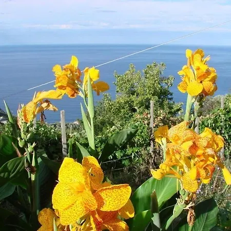 Reggimonti Cinque Terre Bonassola