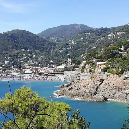 Reggimonti Cinque Terre Bonassola
