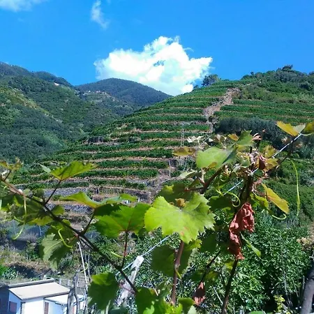 Reggimonti Cinque Terre Сasa de vacaciones *