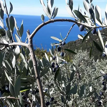 Hébergement de vacances Reggimonti Cinque Terre