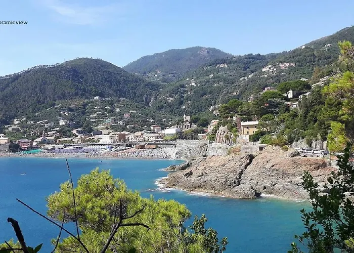 Reggimonti Cinque Terre Bonassola