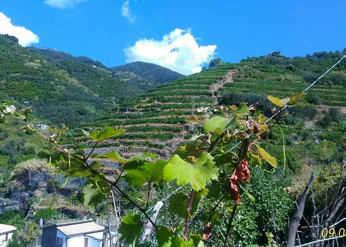 Reggimonti Cinque Terre Tatil Evi *