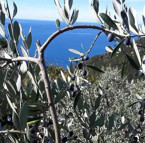 Tatil Evi Reggimonti Cinque Terre